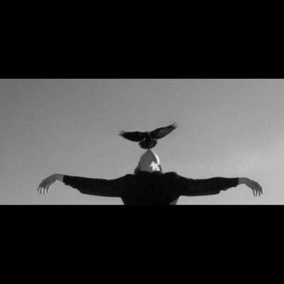 lyyym11's profile picture. 