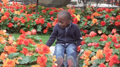 loicec1's profile picture. 