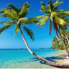 happy202201's profile picture. アマゾンレビュー募集中
アダルトグッズの無料体験
もしご興味があれば、ＤＭでお問い合わせください