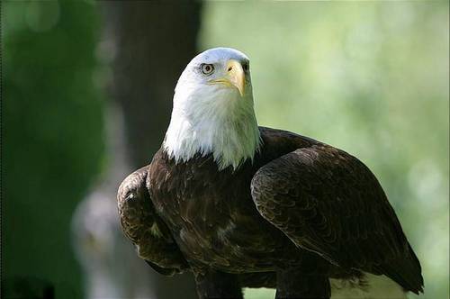 vv_vargas's profile picture. 