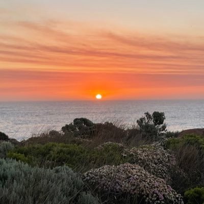 Swimming, cooking, camping, crochet, sewing. Profile picture Cape Leeuwin, where the Indian and Southern oceans meet. Sometimes, I tweet from the dunny.