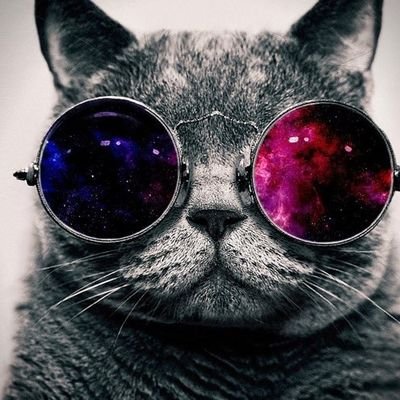 q_hevy's profile picture. Hi there