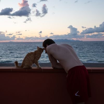 gabrihati's profile picture. Videogames, football and NFT lover from Italy.