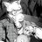 Anhct95's profile image