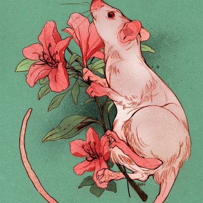 beanixwarrior's profile picture. bites