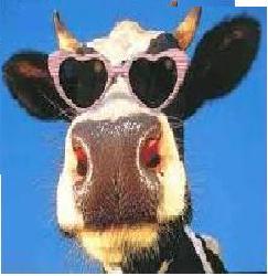 chano_vaca's profile picture. 