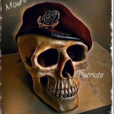 Anti Pass Sanitaire , Anti Macron confirmé,Anti Léches Cul LREM, Pionnier Reconquête,Anti Islamiste, ancien officier d'un RPIMa, cpte de secours :@LeroyJethro19