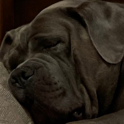 Daisy49444579's profile picture. Freedom is everything! Go Ducks!