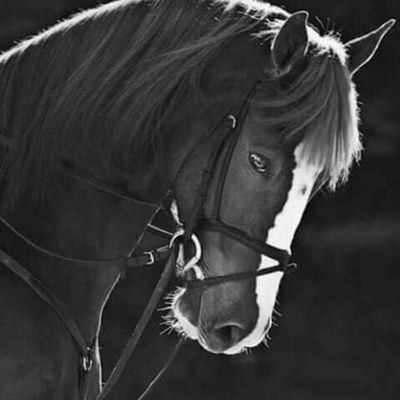 eriqi9's profile picture. #الاتحاد #ريال_مدريد #كريستيانو .💛🖤🤍
@_eriq1