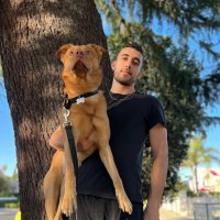 joshyamini (@joshyamini) 's Twitter Profile