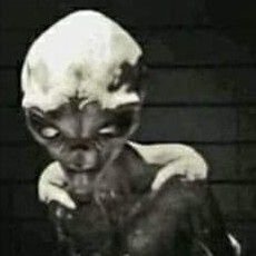 chris_artisan's profile picture. INTP-T, Aspi, 30+ Jahre online, älter als Du. Kaffee ist systemrelevant!

Faschistoide Spinner wählt man nicht.