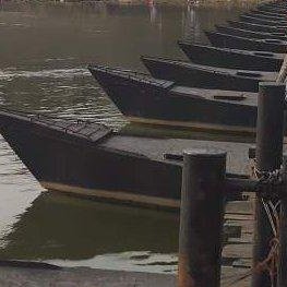 papay_bit's profile picture. 半桶水风水师、专业命理师