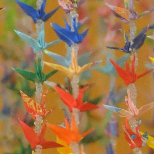 candycrane's profile picture. 