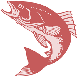 RodandReels's profile picture. Happily supplying you with a great variety of fishing tackle.