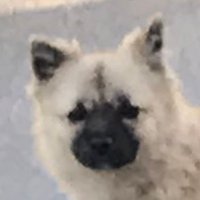 ๋นค๊ตฌ๐ (@werde_) 's Twitter Profile Photo ๋นค๊ตฌ๐ (@werde_) 's Twitter Profile Photo