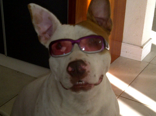 PatoInterlandi's profile picture. esfuerzo, sangre, sudor y lágrimas