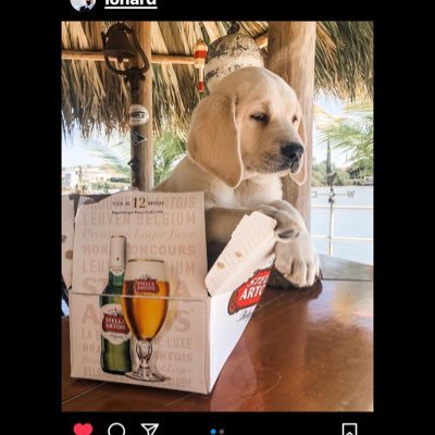 AngTweetz1's profile picture. Stepmom; and Football & Hockey fan; Life is better on the water!