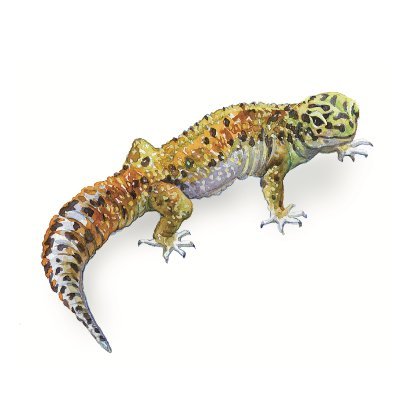 ungmo2's profile picture. Software engineer interested in learning and education.