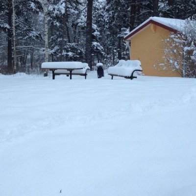 adis2234's profile picture. Amazon link