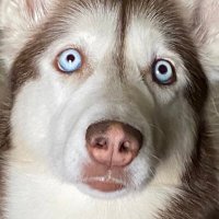 Pappy Granruth (@pappygranruth04) 's Twitter Profile
