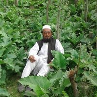 عبدالله ایلیار (@baylyar) 's Twitter Profile