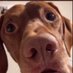 Dat Is Funny! 😬 (@thirstfortt) Twitter profile photo Dat Is Funny! 😬 (@thirstfortt) Twitter profile photo