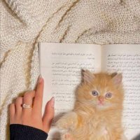 جووج ☆ 👑 (@gege_406) Twitter profile photo