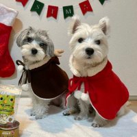 白犬さんと黒犬さん(@Andy19Belle20) 's Twitter Profile Photo