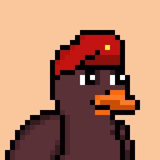 KermitsShaft's profile picture. Quack