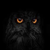 Shimi23173965's profile picture. Hold #Bitcoin until fiat dies.
#Bitcoin is money.