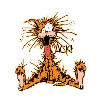 Bill D Cat (@billdcatbc) 's Twitter Profile