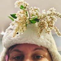 muffintopiary@mastodon.social (@muffintopiary) 's Twitter Profile Photo