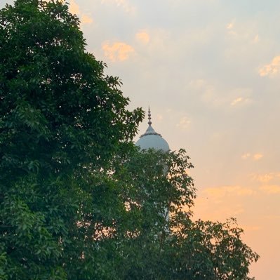 adityayadav0416's profile picture. Socialist