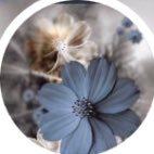 F7486537's profile picture. 