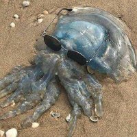 Random_human (@random_human737) 's Twitter Profile