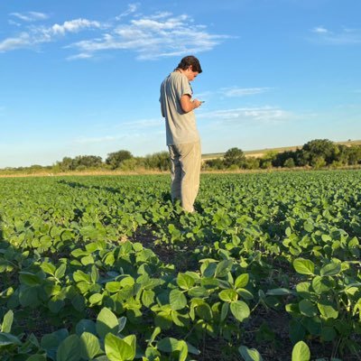 Ingeniero Agrónomo