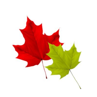 hp_mcgarry's profile picture. ⚱️Locally owned and operated ⭐️ Celebrating a century of trusted service ⏳ Since 1925 📍5 locations #ottawa #kemptville #winchester #wakefield