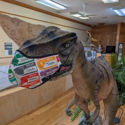 Texanese21's profile picture. from hoisan to houston