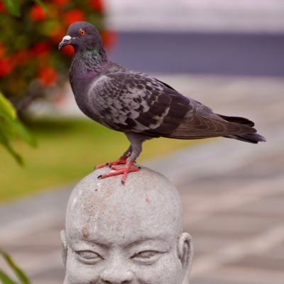 Andrevankolck's profile picture. kannnixmachtnix