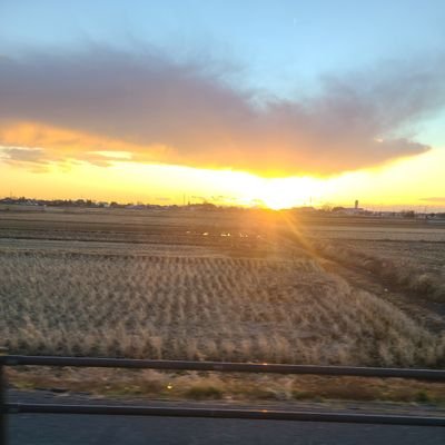 病気の原因は
食事ですね!
食事を大切にすれば
精神も整い、思考も冴え
正しい判断が出来る!
4毒抜きを実行中!
花粉症は完璧になくなり
アトピー
聴覚異常も改善!
些細な事が気にならなくなり
人と話すのが好きになりました!
仕事でも疲れ知らずになり
明らかに気力が長続きするように
なりました😊
埼玉南部在住