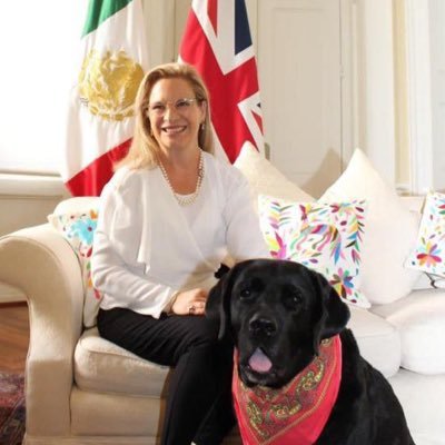 Mexican Ambassador to the United Kingdom. Embajadora de México en el Reino Unido 🇲🇽🇬🇧 @Embamexru Rescatista de animales 🦜🐆🐊🐒