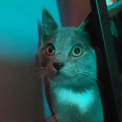 joebloho_'s profile picture. 