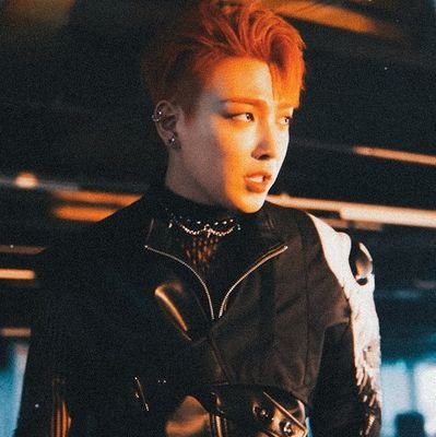 noah 🦝✨さんのプロフィール画像