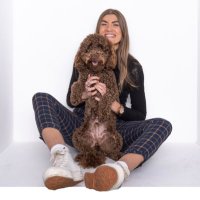 Miss Teale (@misstealepe) 's Twitter Profile