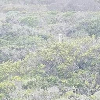 w_yashpal's profile picture. 