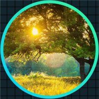 Codiar (@codiar6) 's Twitter Profile Photo Codiar (@codiar6) 's Twitter Profile Photo