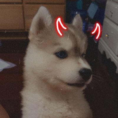 CristosMejia's profile picture. 