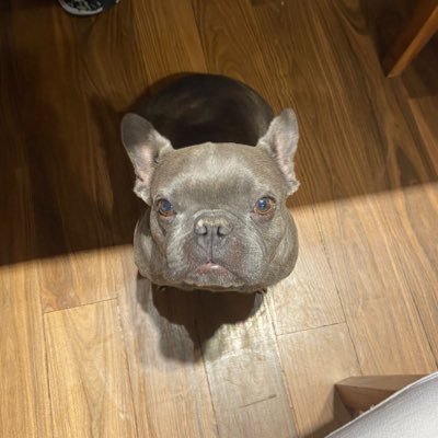 caabuuu's profile picture. 
