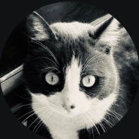 feritalks (@comlekspor) Twitter profile photo