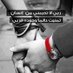 عزوز (@zwzhashm) Twitter profile photo عزوز (@zwzhashm) Twitter profile photo